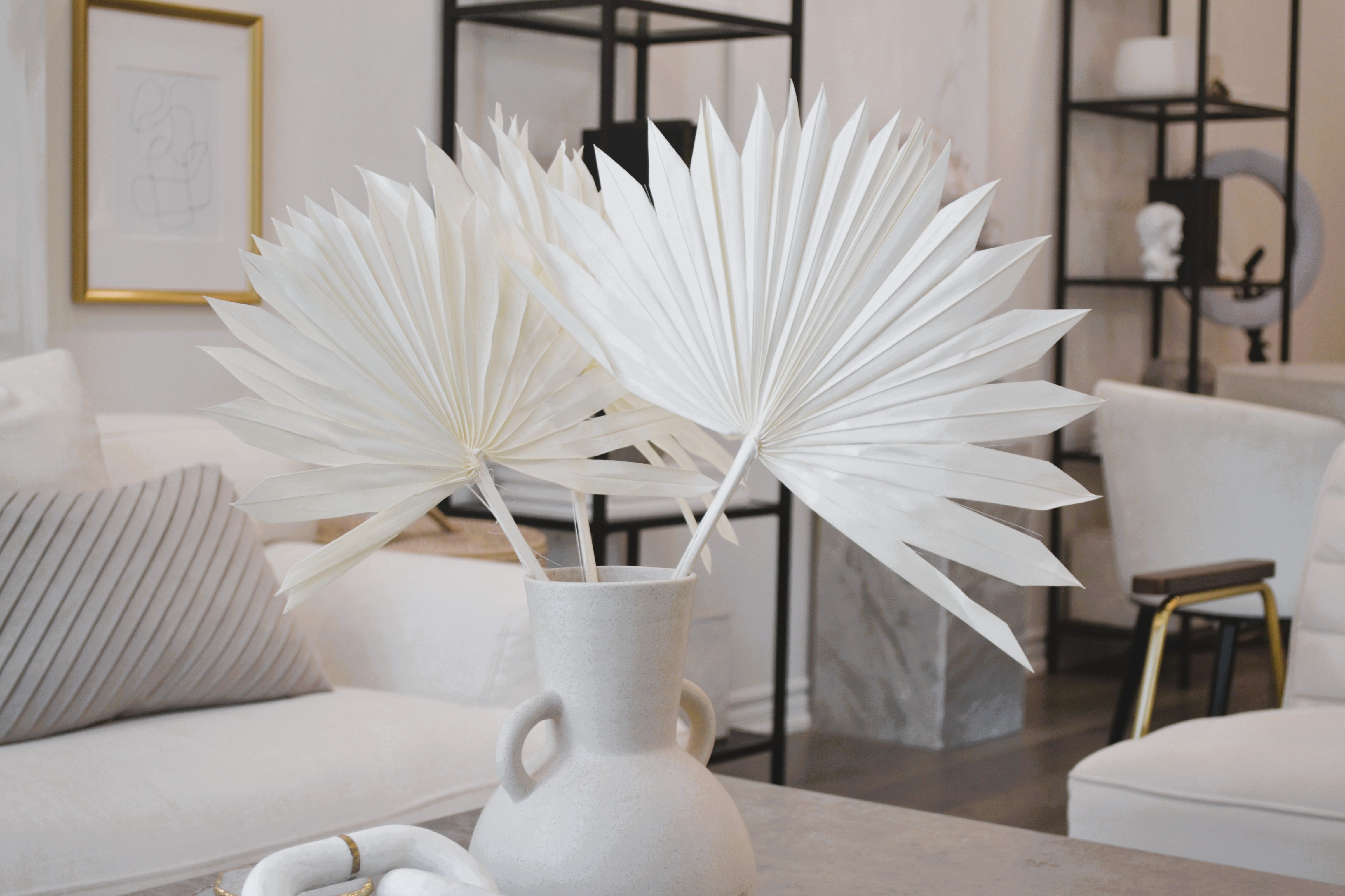 PRESERVED SUN FAN PALM LEAF